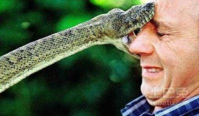 ​梦见被蛇咬是怎么回事有什么征兆吗 梦见被蛇咬是什么意思啊