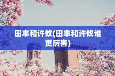 ​田丰和许攸(田丰和许攸谁更厉害)