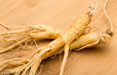 ​八种人不适合吃人参，慎用！