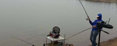 ​怎么甲鱼钓的方法 甲鱼要怎么钓