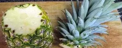 ​菠萝掰着吃的吃法 菠萝可以直接掰着吃吗
