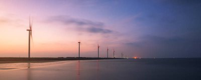 ​海洋深处有什么生物 海洋深处的生物图片