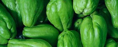 ​佛手瓜有毒 佛手瓜 中毒