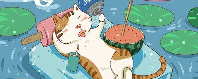 ​猫咪胆小怎么训练 猫咪特别胆小