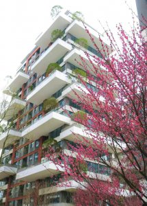 ​中国铁建花语城楼盘 贵阳中国铁建·花语墅户型