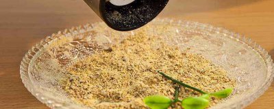 ​胡椒粉是什么做的