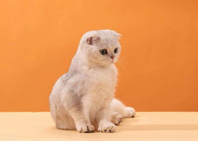 ​爆笑经典笑话，我只想认识你一下，你却问我sin30度是多少？