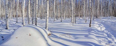 ​天王盖地虎的下一句是什么 天王盖地虎,下一句是啥?