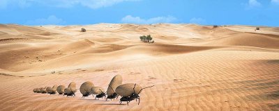 ​找不到蚂蚁窝怎么消灭蚂蚁 家里很干净为什么有蚂蚁出现