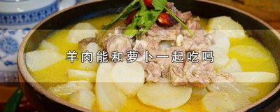 ​羊肉与萝卜可以一起吃吗 羊肉可以和萝卜一起吃吗?