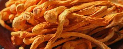 ​新鲜虫草花要煮多久才能吃 干的虫草花要煮多久才能吃