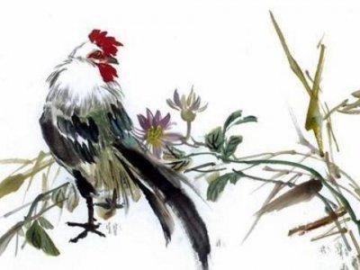 ​1993年属鸡一生的命运 1993年属鸡的一生命运怎么样