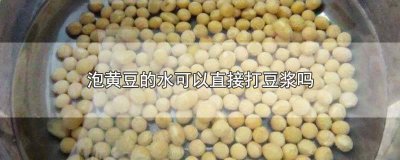 ​泡黄豆的水可以直接打豆浆吗孕妇 黄豆打豆浆需要泡水吗