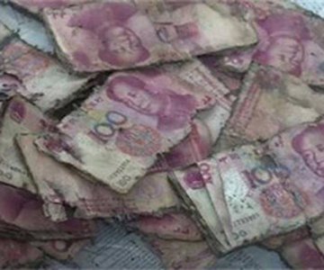 ​200万现金埋地5年事件 挖出来的瞬间傻眼了