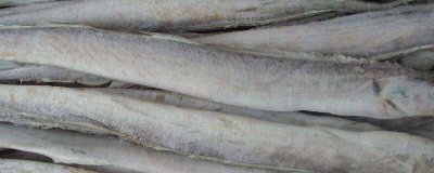 ​新鲜带鱼放冰箱怎么保鲜[新鲜带鱼放冰箱怎么保鲜好]