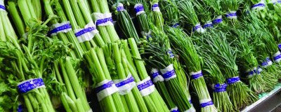 ​蔬菜瓜果怎么保存 果蔬怎么保存