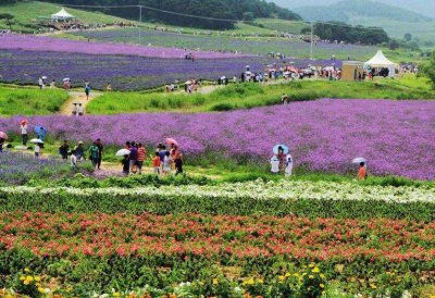​休闲农业发展模式是什么 休闲农业的发展模式有哪几种类型