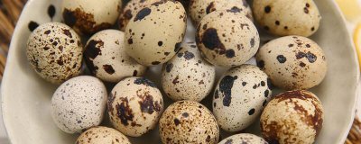 ​鹌鹑能不能喝牛奶粉 鹌鹑能不能喝牛奶和酸奶