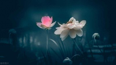 ​治疗漏尿最简单有效的方法 如何治愈漏尿