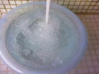 ​房间蚊子多怎么办有何妙招（一碗水解决蚊子）