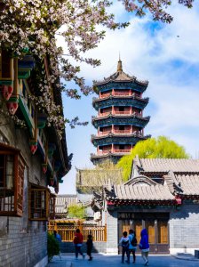 ​又什么又什么的（又什么又什么的西瓜）