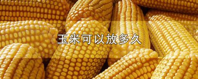 ​水果玉米可以放多久 密封玉米可以放多久