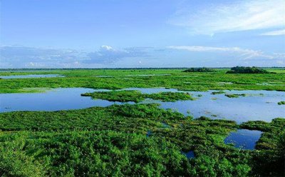 ​参公单位有哪些（哪些参公单位比较好）