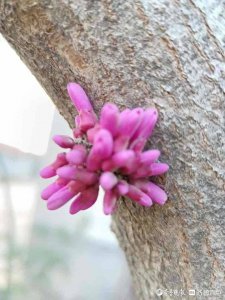 ​家庭情况介绍怎么写简短（家庭情况介绍怎么写简短英语）