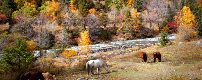 ​党山村属于哪里 党家村在哪