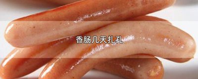 ​香肠什么时候扎孔好 香肠什么时候扎孔合适
