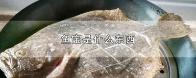 ​鱼宝是什么样的有什么用处 鱼宝是啥样的