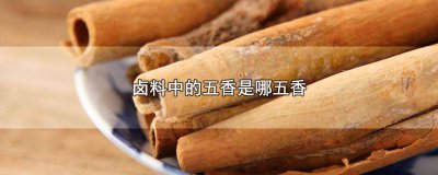 ​五香卤料是哪五种香料 卤菜的五香指的是哪五种香料