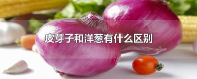 ​洋葱发芽像什么 新疆洋葱为啥叫皮牙子菜