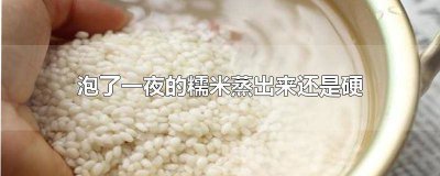 ​糯米泡了要蒸好久才能蒸 泡了的糯米蒸多久