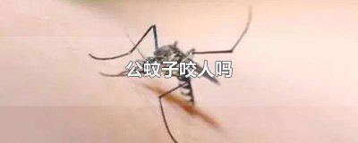 ​蚊子是公蚊子咬人还是母蚊子咬人 咬人的是公蚊子还是母蚊子?