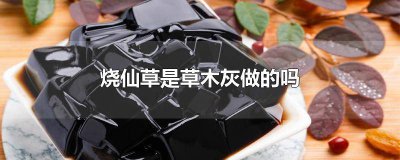 ​烧仙草为什么用草木灰 烧仙草用草木灰