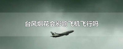 ​台风烟花会影响飞机飞行吗视频讲解 台风烟花会影响飞机飞行吗视频下载