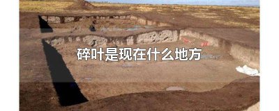 ​唐代大诗人谁出生在西域的碎叶城 碎叶城是唐朝的吗