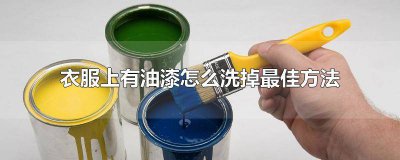 ​衣服上有油漆点 衣服上沾有油漆