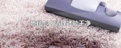 ​厨房地毯怎么清洁 厨房铺地毯怎么清洁