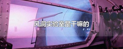 ​风洞实验是什么模型 风洞实验是什么实验法