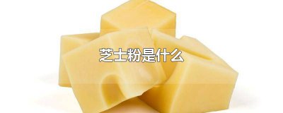 ​芝士是什么材料做的 家里 芝士是什么材料做的,有添加剂吗?