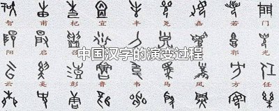 ​中国汉字的演变过程英文 汉字的演变过程用英语怎么说
