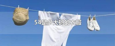 ​54衣服是多大尺码 服装54是多大码
