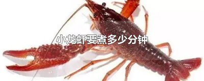 ​小龙虾要煮多少分钟才能杀死寄生虫 小龙虾要煮多少分钟才能熟透