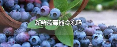 ​新鲜蓝莓能冷冻吗怎么保存 新鲜蓝莓能冷冻吗保存多久
