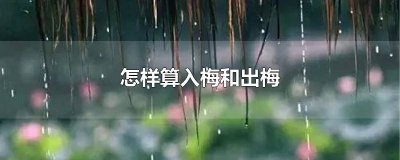 ​怎么样算是出梅了 梅花的识别要点