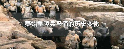​秦始皇陵兵马俑的历史变化50字 秦始皇陵兵马俑的历史变化简写