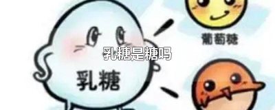 ​乳果糖会导致龋齿吗 乳糖会坏牙吗