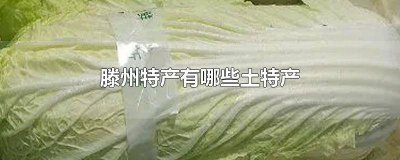 ​山东滕州特产 滕州市特产介绍